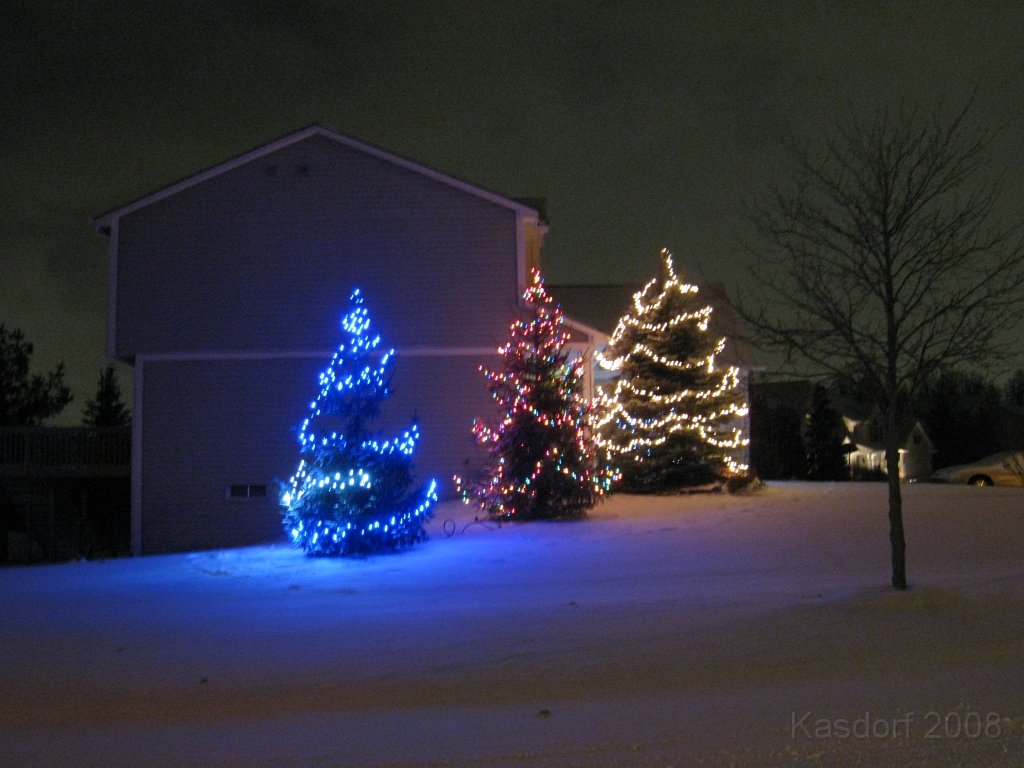 Christmas Lights Hines Drive 2008 101.jpg - The 2008 stringing of the outdoor Christmas lights MUST occur on the worst day between Thanksgiving and Christmas Eve each year. 2008 was no exception!